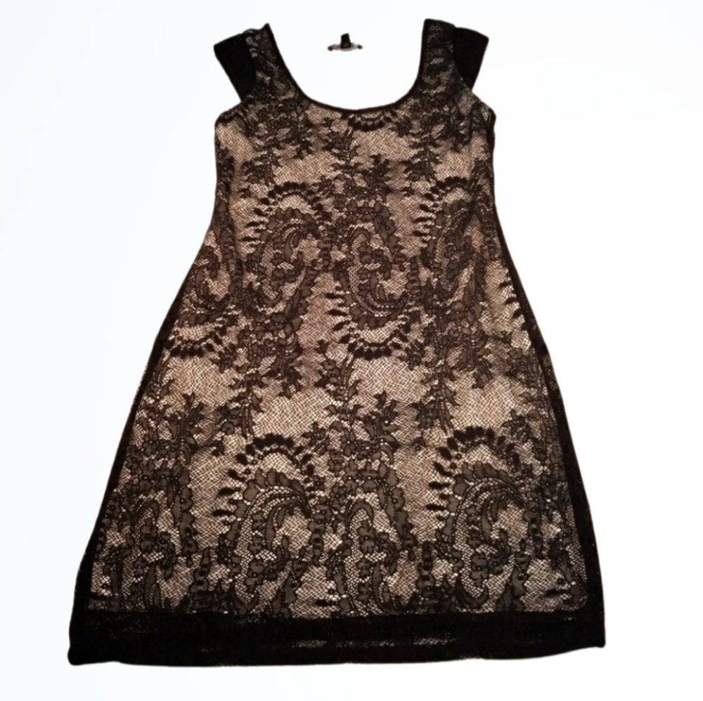 Express Black Lace and Champagne Beige Sheath Above The Knee Dress Size XS NWT